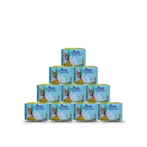 Neela premium sanitary napkin combo pack